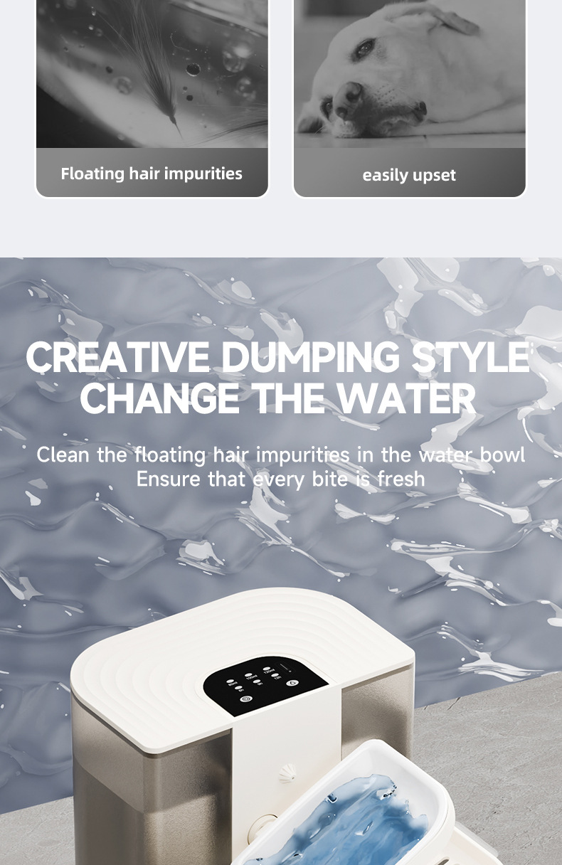 17655093364448 17655093364448