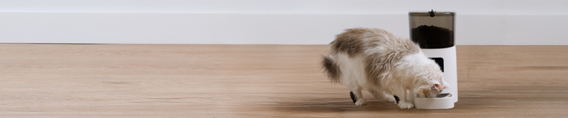 Professional Wholesale pet supplies Supplier