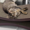 86cm Extra-Long 8-Shaped Cat Scratcher - Corrugated Cardboard Pet Scratching Pad