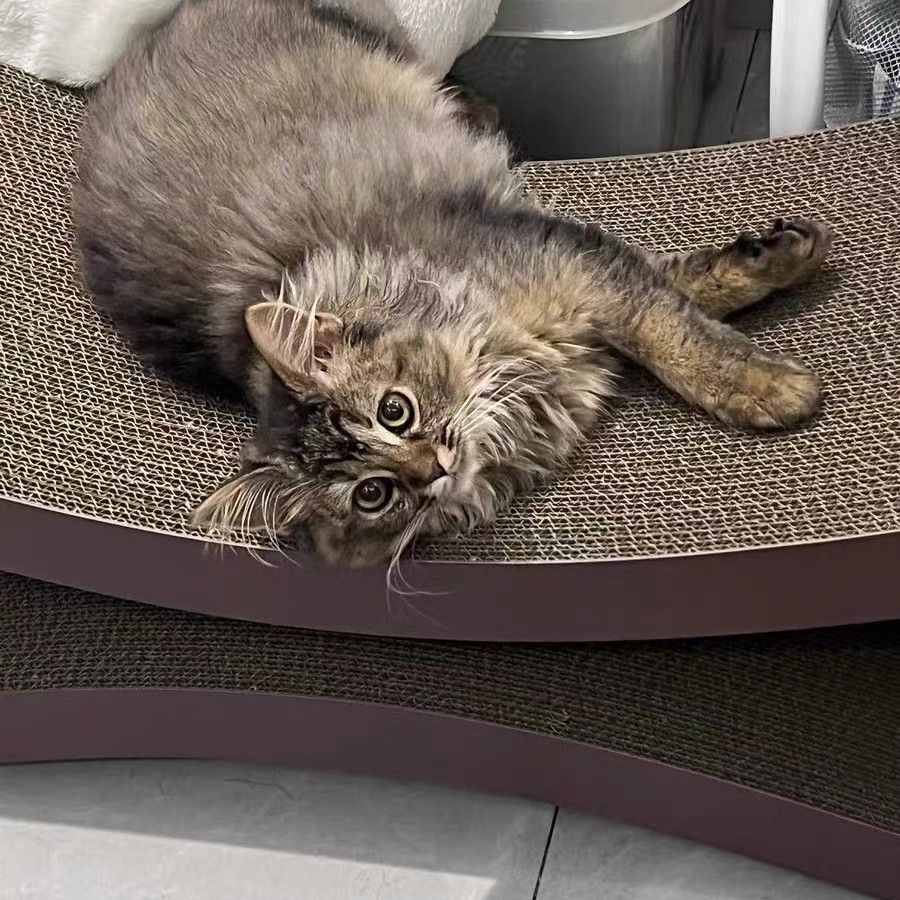 86cm Extra-Long 8-Shaped Cat Scratcher - Corrugated Cardboard Pet Scratching Pad