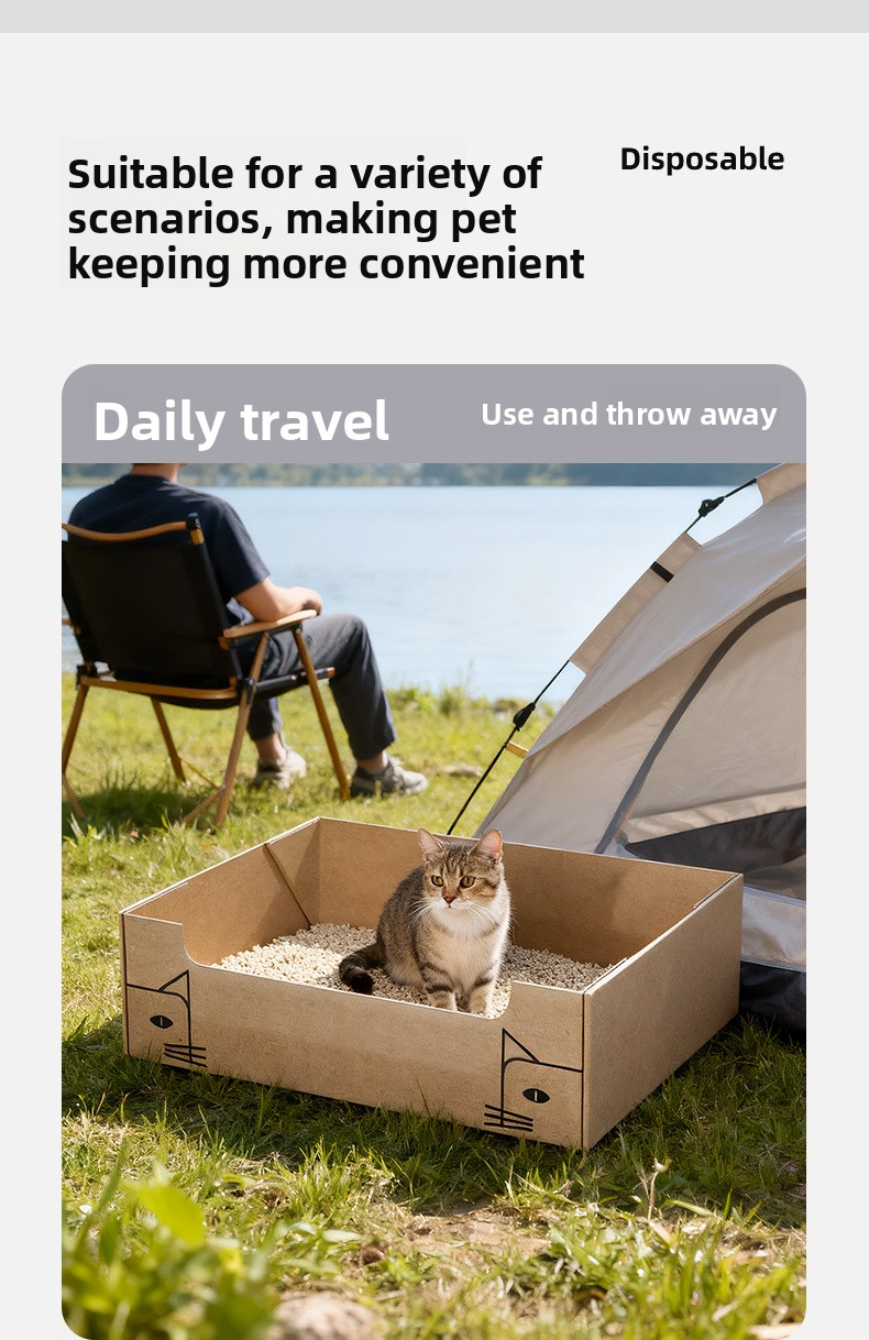 Foldable Disposable 6