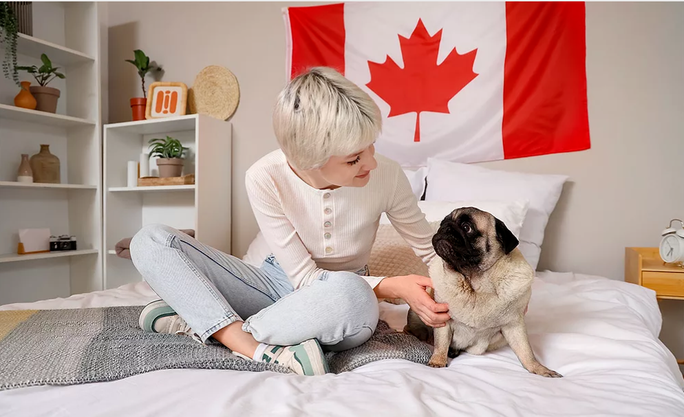 Latest! These Are the Products Canadian Pet Owners Love to Buy Most