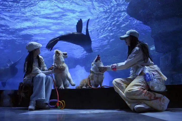 In-depth Analysis of the Top 10 Trends in the Cultural Industry for 2026: Pet + Cultural Tourism Leads the Warm New Consumption Wave