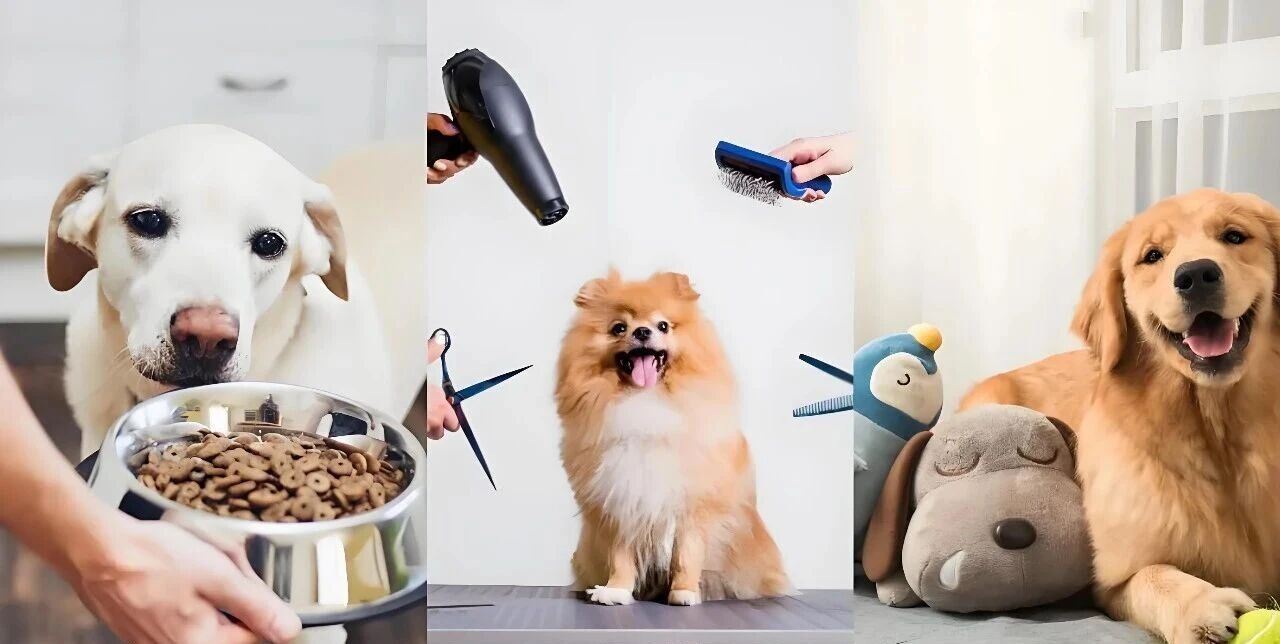 Why The Pet Industry Is Attracting Capital in A Funding Winter