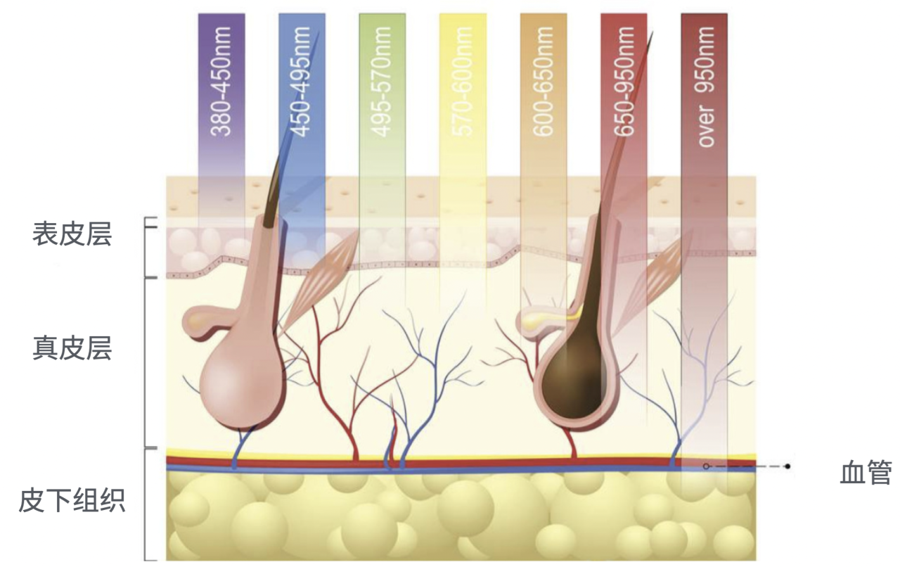 LED Light Therapy