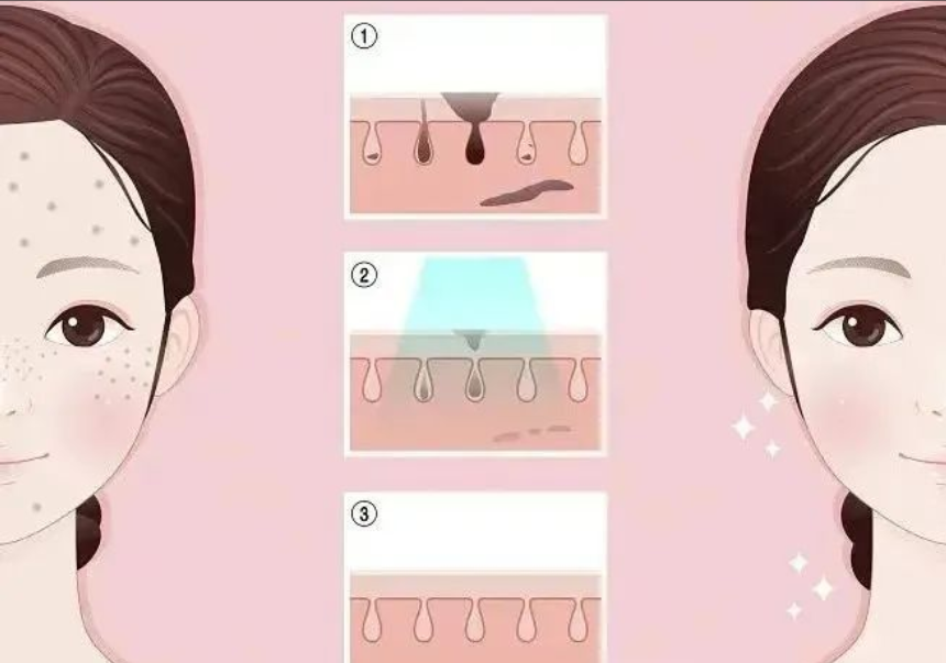 The Science & Applications of Collagen: A Complete Guide​