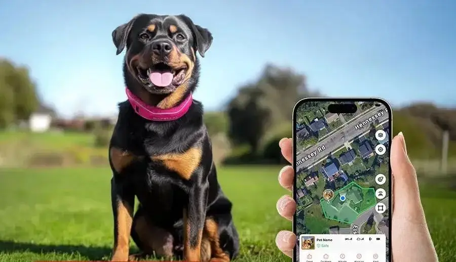 2026 China Pet Industry Boom: Policy Standardization + AI Empowerment Reshape the 100-Billion-Yuan Track