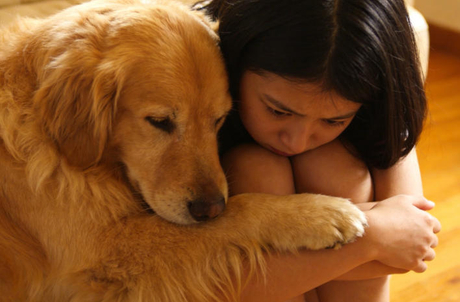 dog emotional intelligence.jpg