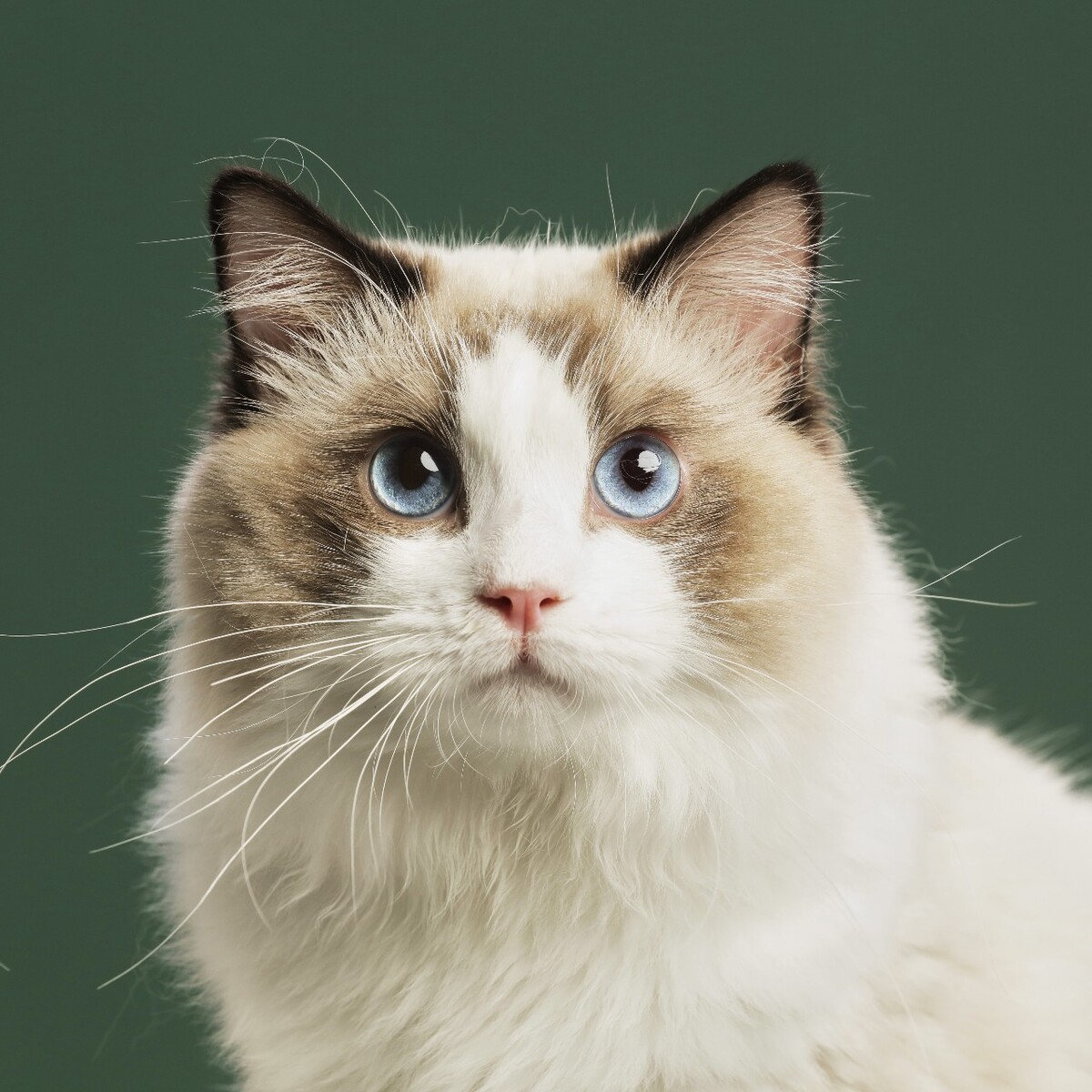 The $300 Billion Track: Present and Future