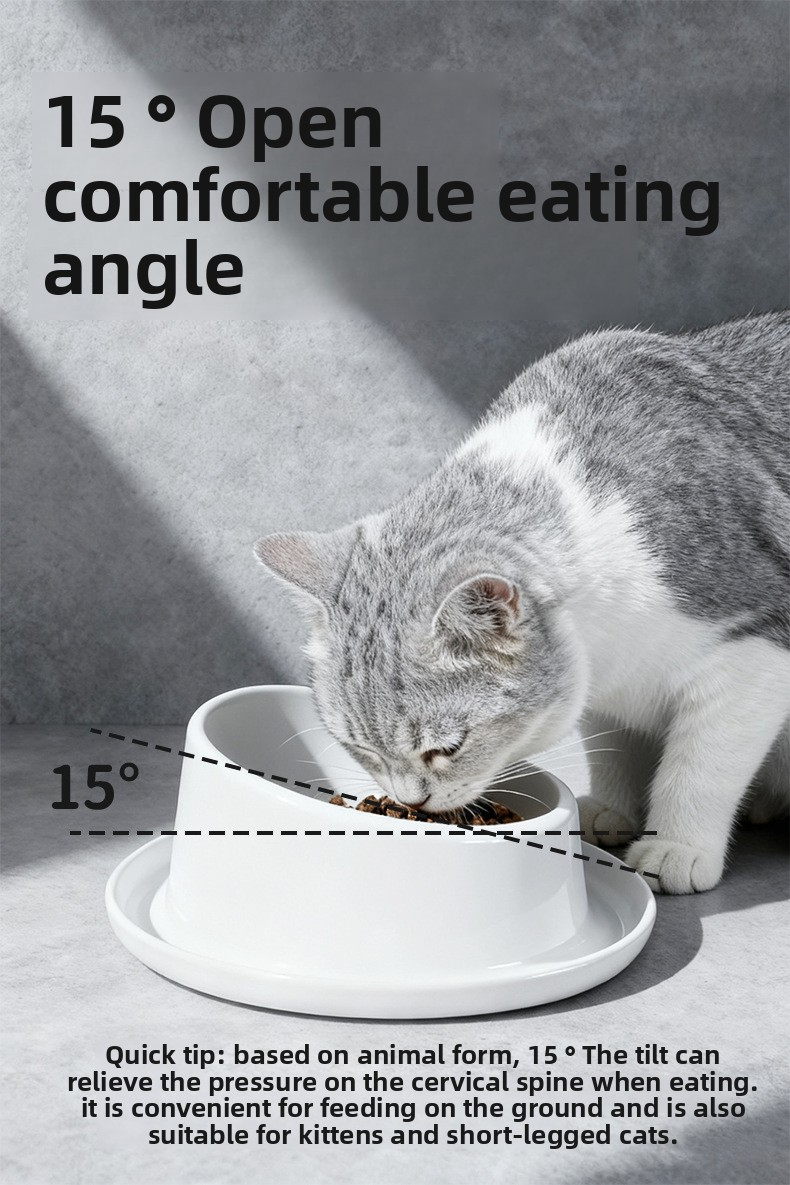 Neck Protection Ceramic Bowl 2