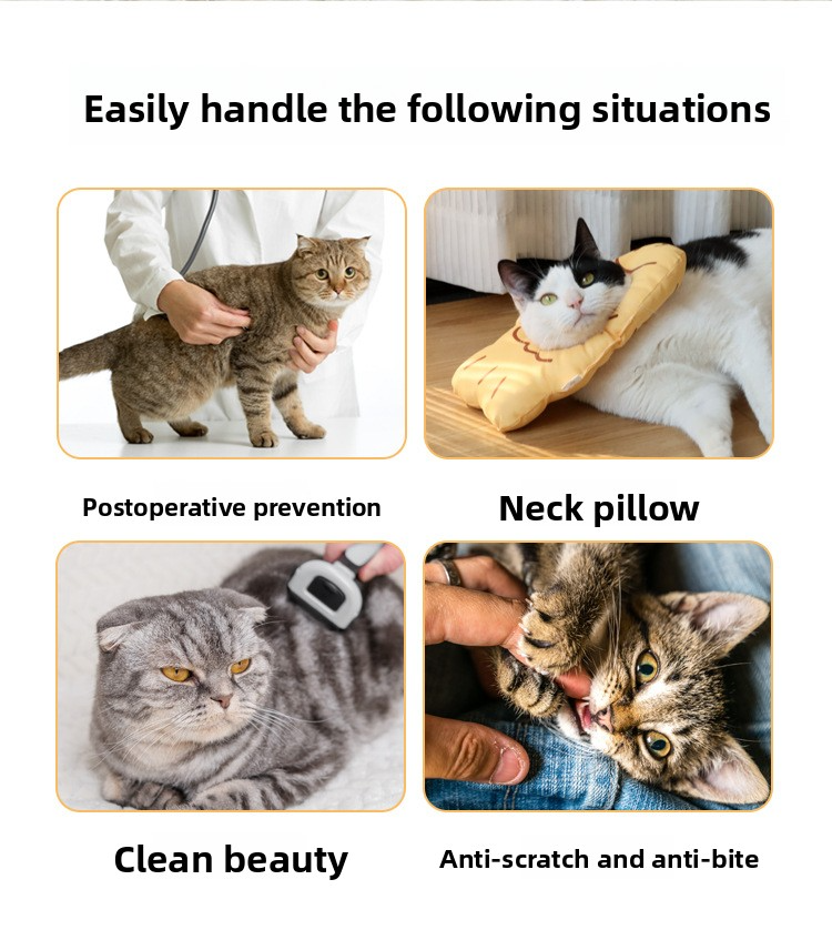 Pet Protective Collar 2