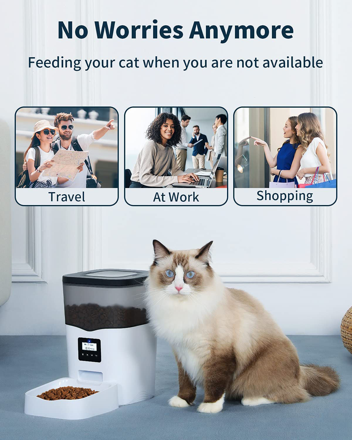 feeding your cat easily
