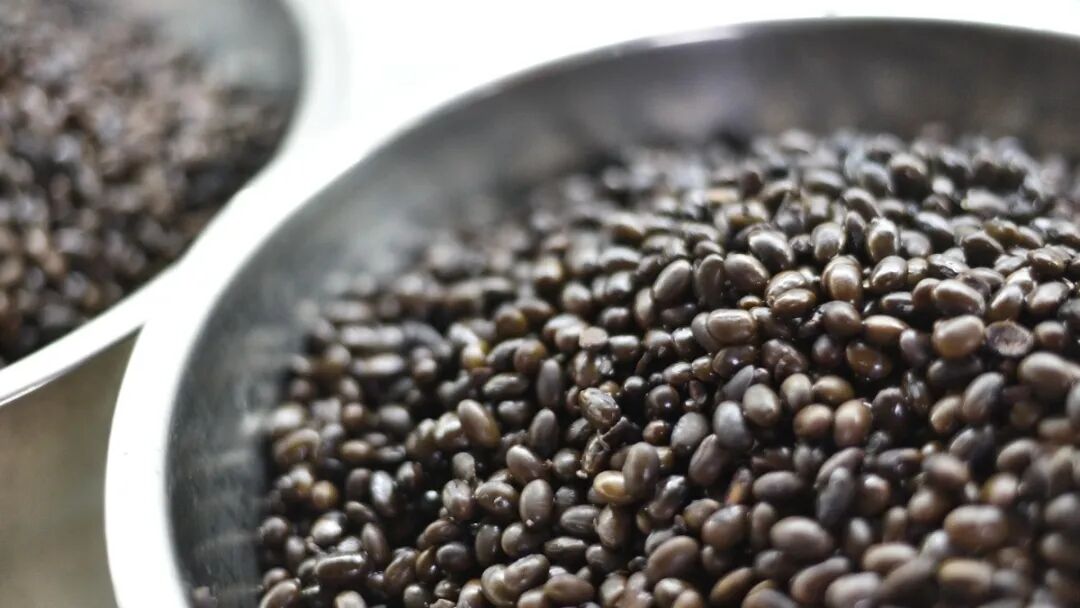 protecting Kidney Essence