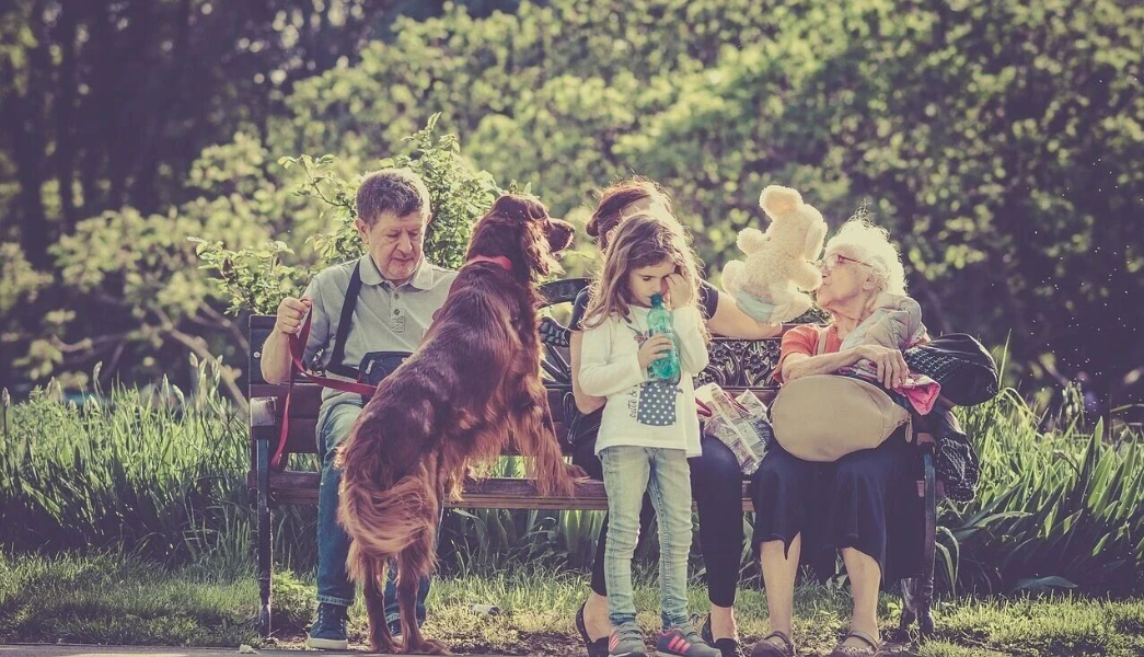 Major Policy Boost: China's Pet Economy Enters a Golden Expansion Era