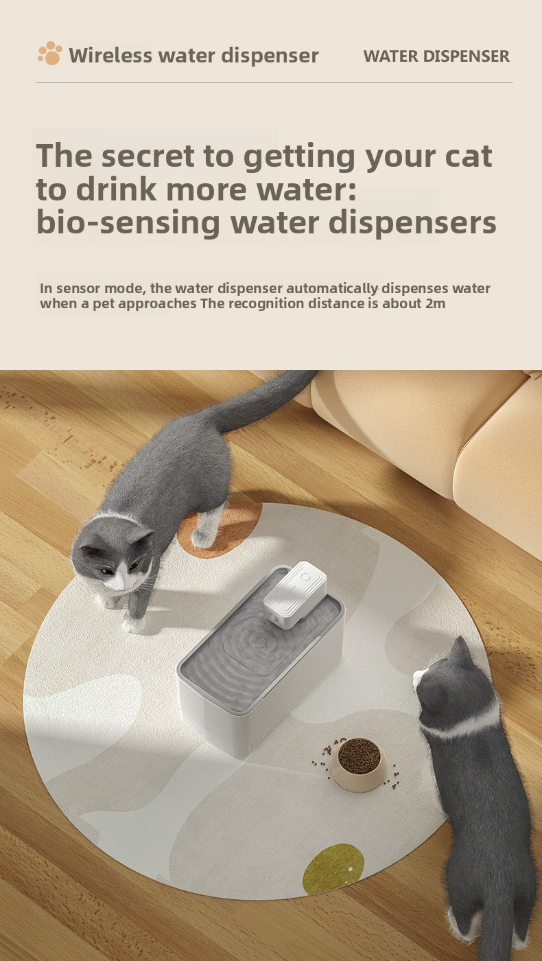 Silent Circulating 4