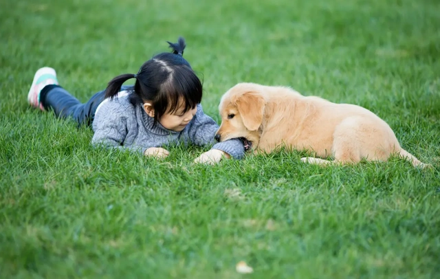 Mom, Can I Get a Cat or a Dog? A Guide to Responding to Your Child’s Pet Request