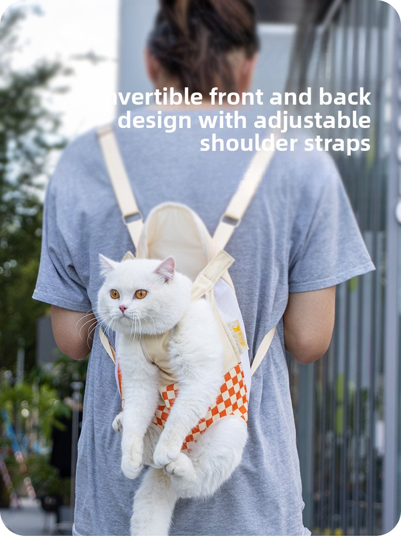 Pet Four Leg Front 1