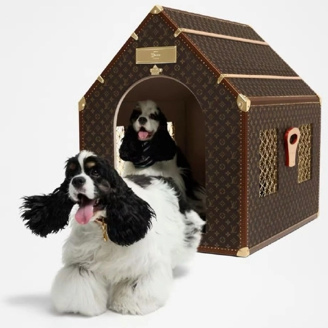 Hanseektech-your pet supplier in China