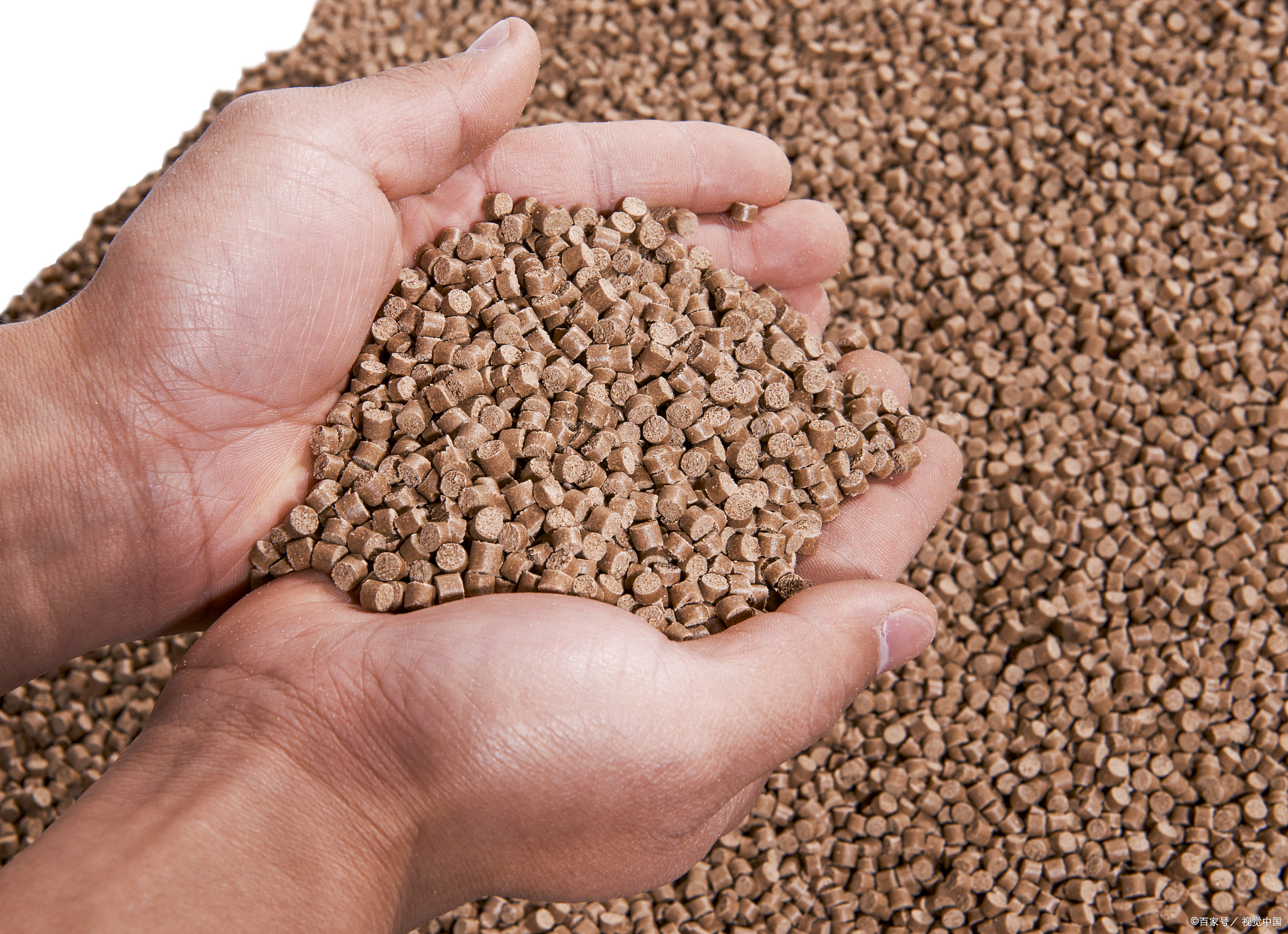 China's Cat Litter Industry: Current Status & Future Trends – The Breakthrough from "Manufacturing" to "Intelligent Manufacturing"