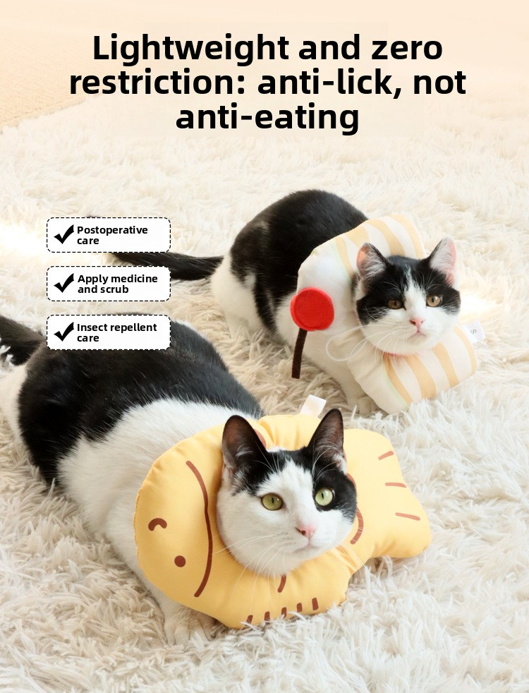 Pet Protective Collar 1