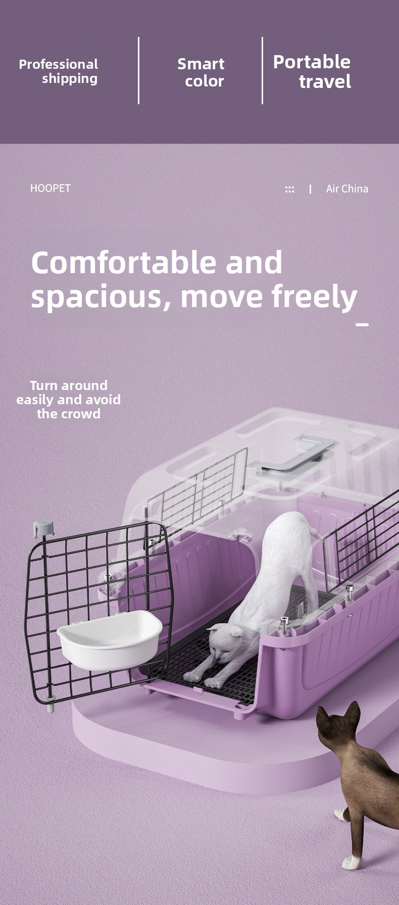 Portable Pet Air Carrier 2