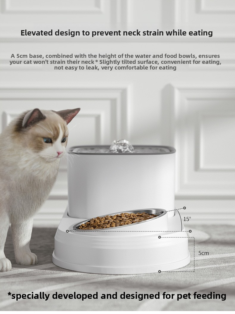 Cat Dog Pet Feeder Water 2