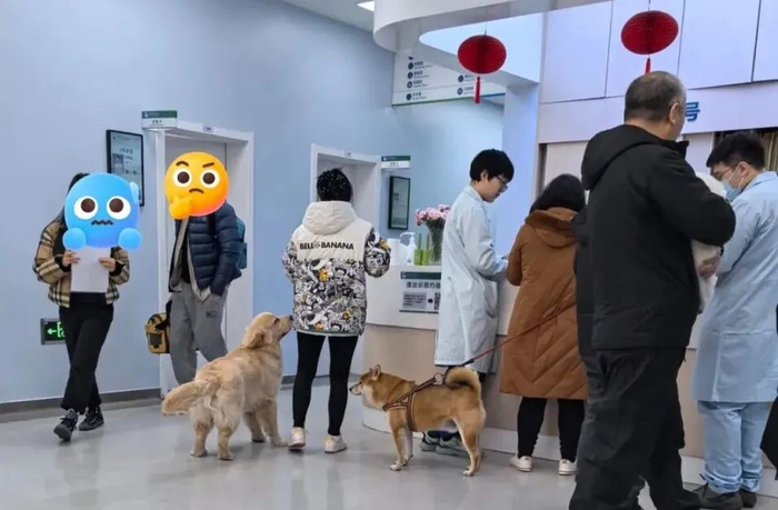 2026 Pet Care Trends