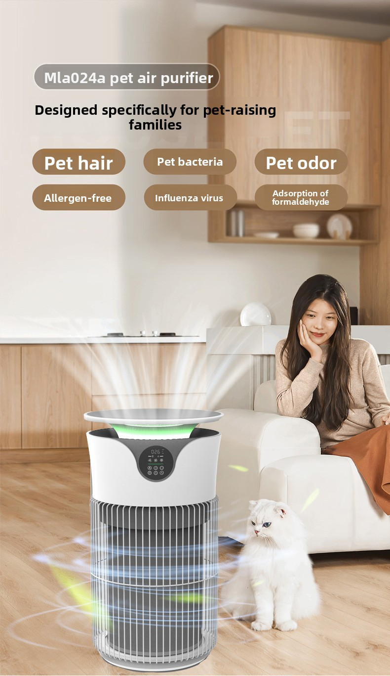 WiFi Air Purifier 1