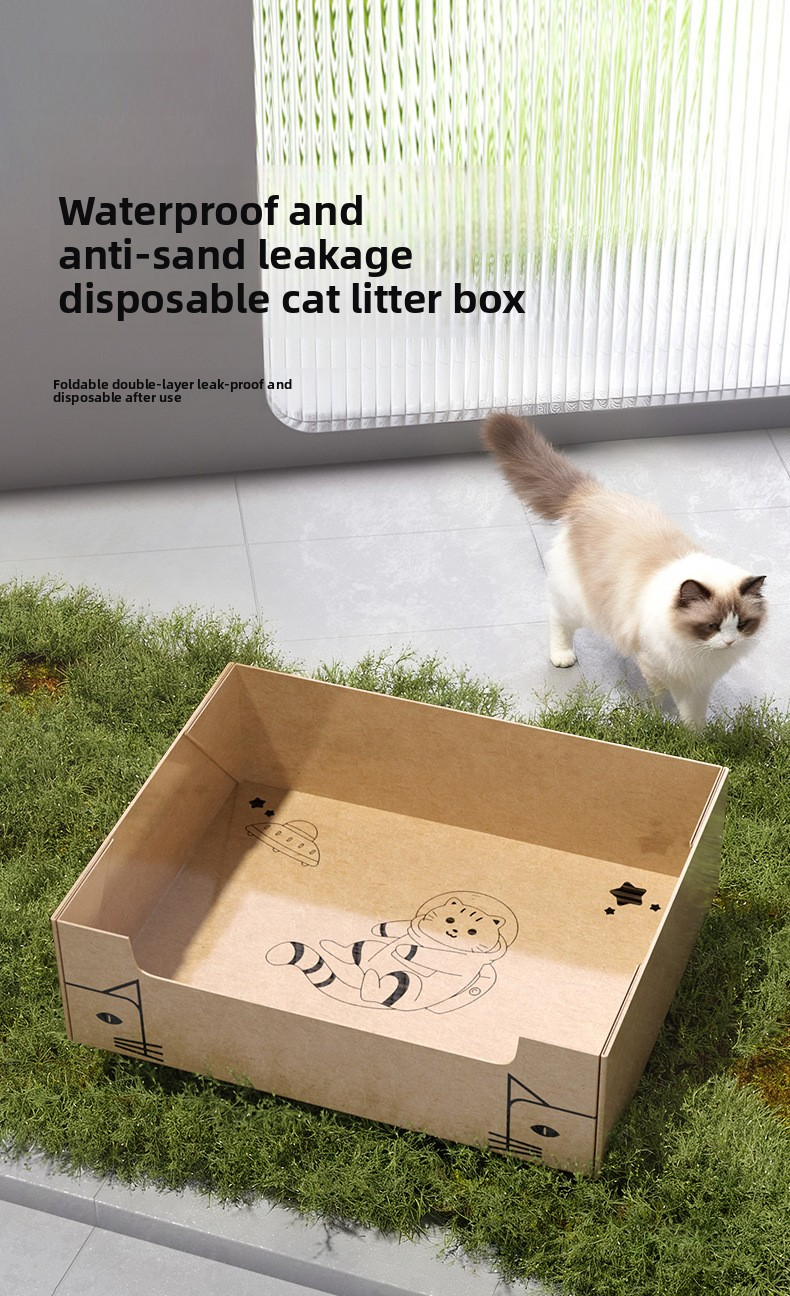 Foldable Disposable 1