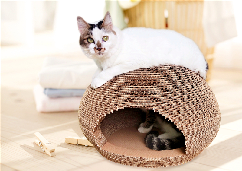 Mismatch Between Supply and Demand: What Pet Supplies Do Owners Actually Need?