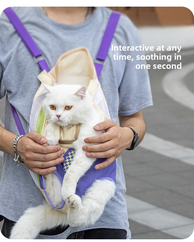 Pet Four Leg Front 2