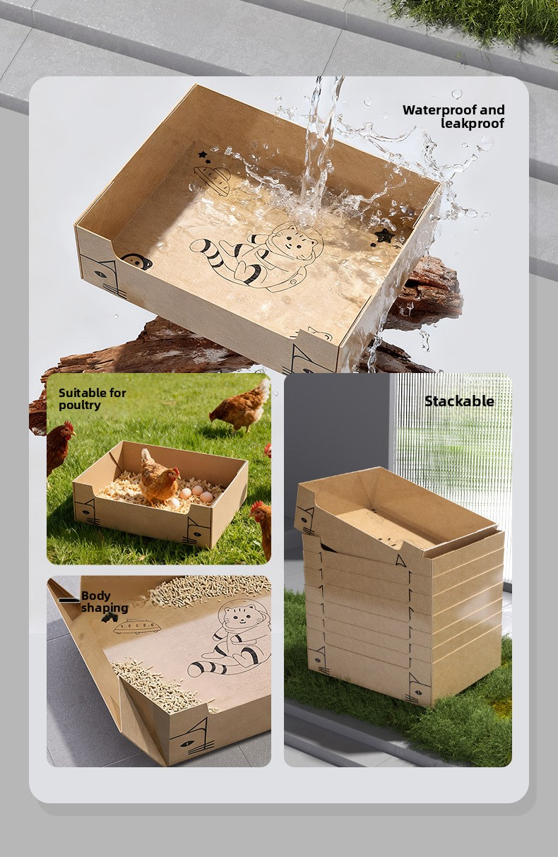 Foldable Disposable 2