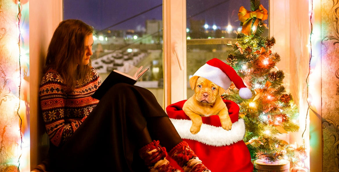 China Pet Furniture Sells Explosively in Overseas Markets