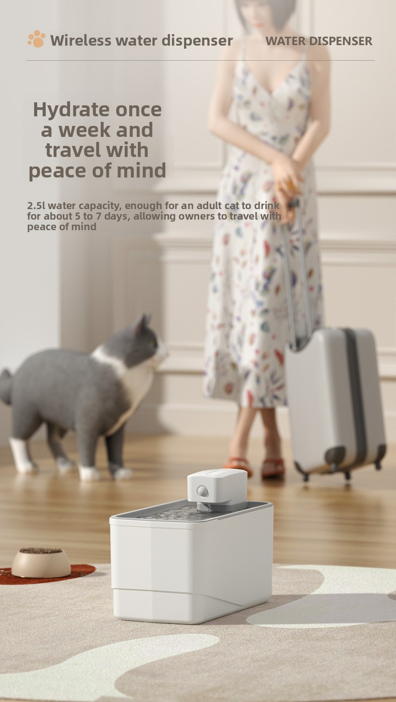 Silent Circulating 6