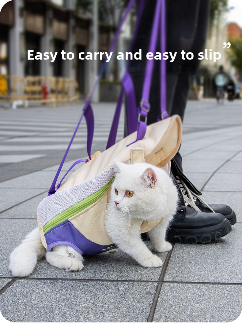 Pet Four Leg Front 6